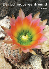 Echinocereenfreund 04-2014 Titel 230 72