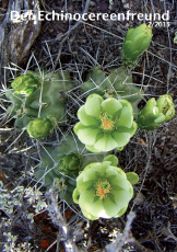 Echinocereenfreund 02-2015 Titel h230 72