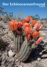 Echinocereenfreund 03-2015 Titel h230 72