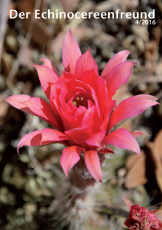 Echinocereenfreund 04-2016 Titel h230 72