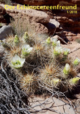 Echinocereenfreund 01-2018 Titel h230 72