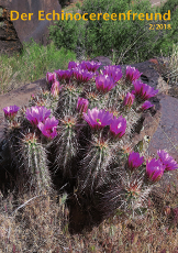 Echinocereenfreund 02-2018 Titel h230 72