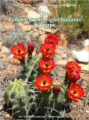 Triglochidiatus