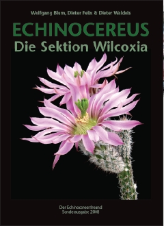 wilcoxia